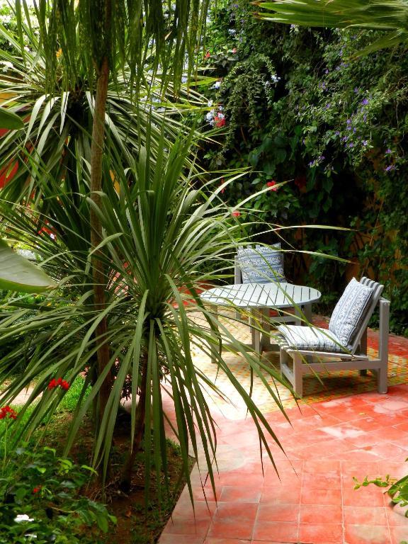 Dar Beldi Bed & Breakfast Oualidia Room photo